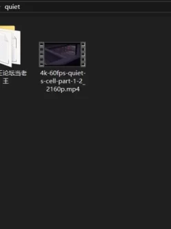 [自行打包] Xordel的史上最强静静（合金装备:幻痛 中的quiet）4K-60fps [1V+710.56M][百度盘]